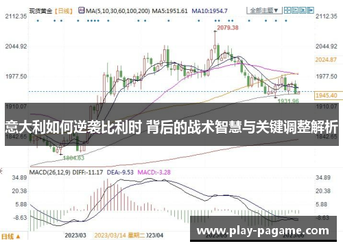 意大利如何逆袭比利时 背后的战术智慧与关键调整解析 意大利如何逆袭比利时 背后的战术智慧与关键调整解析
