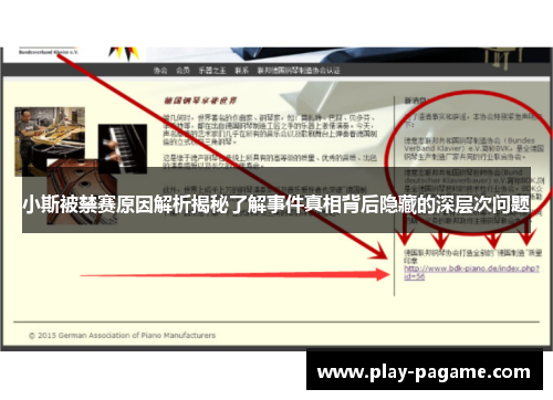 小斯被禁赛原因解析揭秘了解事件真相背后隐藏的深层次问题