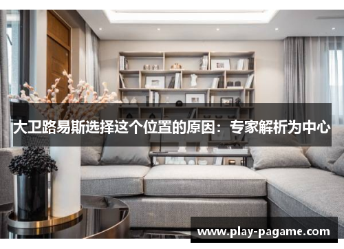 大卫路易斯选择这个位置的原因:专家解析为中心 大卫路易斯选择这个位置的原因:专家解析为中心
