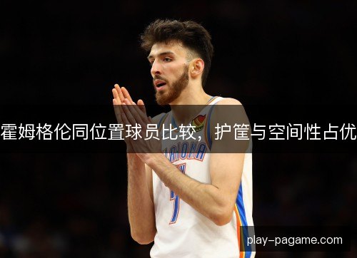 霍姆格伦同位置球员比较，护筐与空间性占优